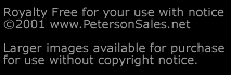 images are copyrighted by Peterson Sales